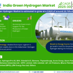 India Green Hydrogen Market Research Report Forecast (2025-2030)