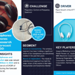 India Headphones and Earphones Market Research Report Forecast (2024-2030)