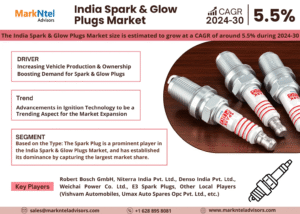 India Spark and Glow Plugs Market Research Report Forecast (2024-2030)