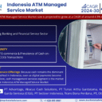 Indonesia ATM Managed Service Market Research Report Forecast (2024-2030)