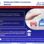 Malaysia Online Insurance Market Research Report Forecast (2024-2030)