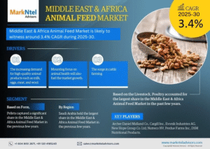Middle East & Africa Animal Feed Market Research Report Forecast (2025-2030)