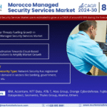Morocco Managed Security Services Market Research Report Forecast (2024-2030)