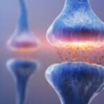 Neuromodulators image