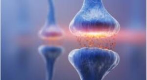 Neuromodulators image