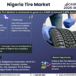 Nigeria Tire Market Research Report Forecast (2025-2030)