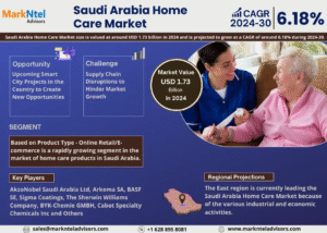 Saudi Arabia Home Care Market Research Report Forecast (2024-2030)