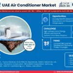 UAE Air Conditioner Market Research Report Forecast (2025-2030)