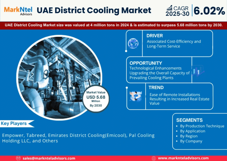 UAE District Cooling Market Research Report Forecast (2025-2030)