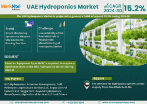 UAE Hydroponics Market Research Report Forecast (2024-2030)
