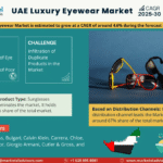 UAE Luxury Eyewear Market Research Report Forecast (2025-2030)
