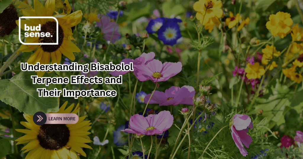 bisabolol terpene effects