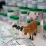Veterinary Product Distributors in Oman