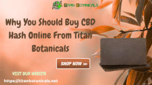 Buy CBD Hash Online