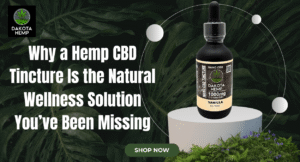 Hemp CBD Tincture