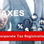 Corporate Tax Consultant