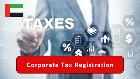 Corporate Tax Consultant