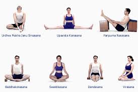 Sitting Position Names