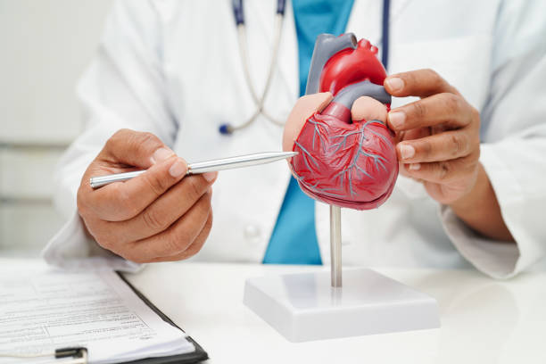 TAVI specialist in Jaipur