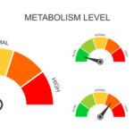 metabolism, fitness, healthy living, weight loss,