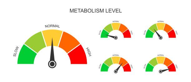 metabolism, fitness, healthy living, weight loss,