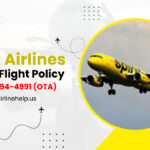 spirit airlines missed flight policy