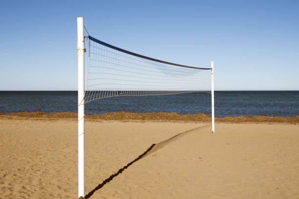 volleyball net height in feet