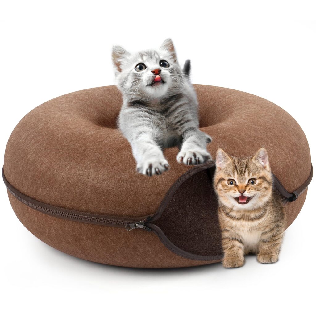 cat donut tunnel
