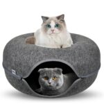 cat donut tunnel