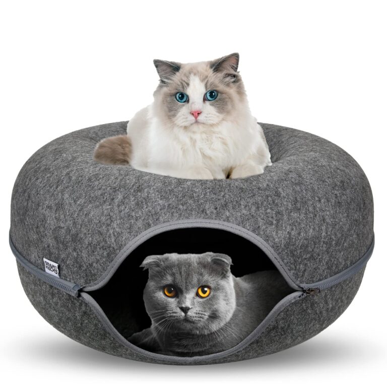 cat donut tunnel