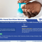 Asia Pacific Hand Sanitizer Market Research Report Forecast (2022-2027)