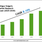 Europe Pemphigus Vulgaris Treatment Market Research Report