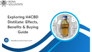 H4CBD Distillate