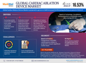 Global Cardiac Ablation Devices Market Research Report Forecast (2022-27)