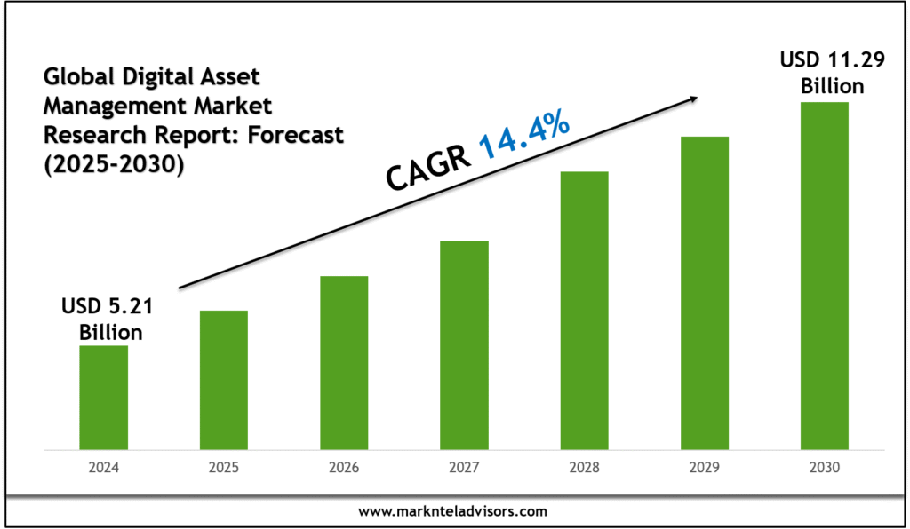 Global Digital Asset Management Market