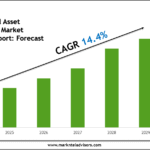 Global Digital Asset Management Market