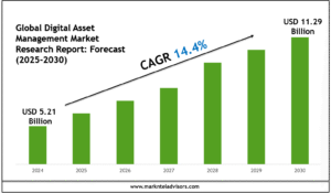 Global Digital Asset Management Market
