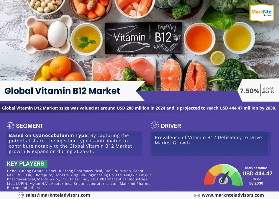 Global Vitamin B12 Market Research Report Forecast (2025-2030)