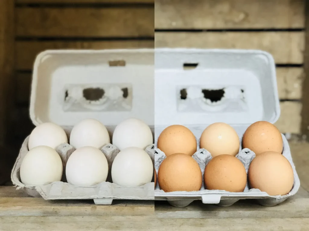 Chicken Eggs