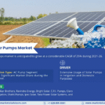 India Solar Pumps Market Research Report Forecast (2021-2026)