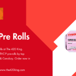 Kings Pre Rolls
