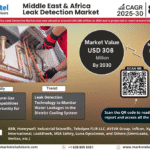 Middle East & Africa Leak Detection Market Research Report Forecast (2025-2030)