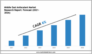 Middle East Antiscalant Market Research Report