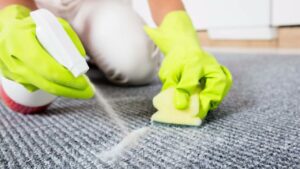 Pet Odor Removal in Carlsbad
