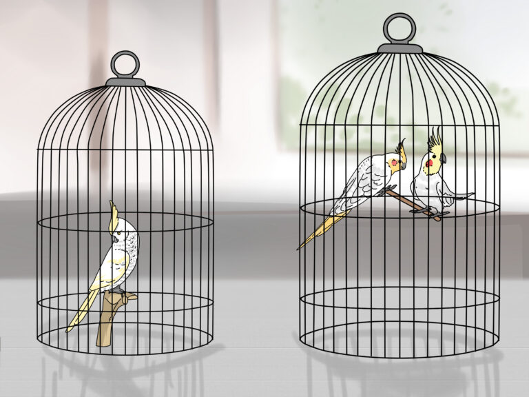 Pets And Bird Removing