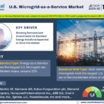 U.S. Microgrid-as-a-Service Market Research Report Forecast (2025-2030)