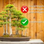 brand-awareness-of-treeleftigshop