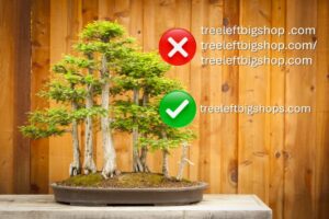 brand-awareness-of-treeleftigshop