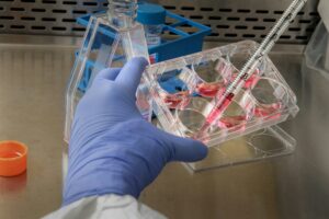 biotech lab