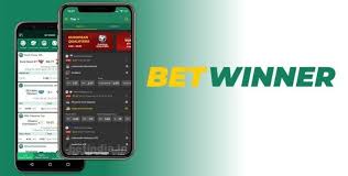 Discover the Thrills of Sportsbook BetWinner
